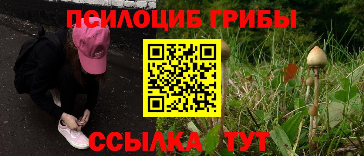 Нефтеюганск  Псилоцибиновые грибы GOLDEN TEACHER  Вход с VPN 